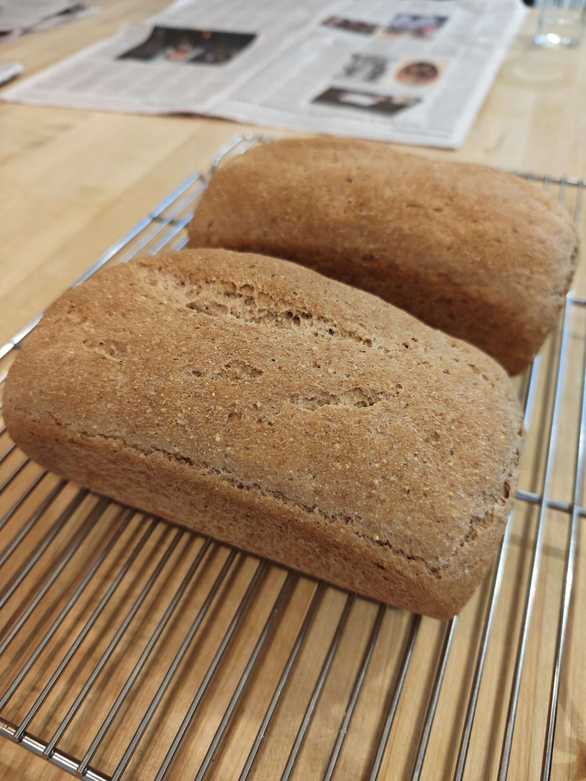 two loaves of bread on the counter